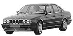 BMW E34 P256E Fault Code