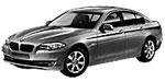 BMW F10 P256E Fault Code